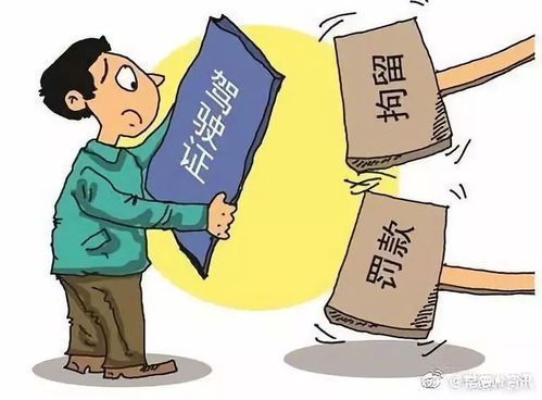 孿生兄弟難辨真偽 無證駕駛終露馬腳——從“成武高速”事件看冒用駕駛證的法律風險
